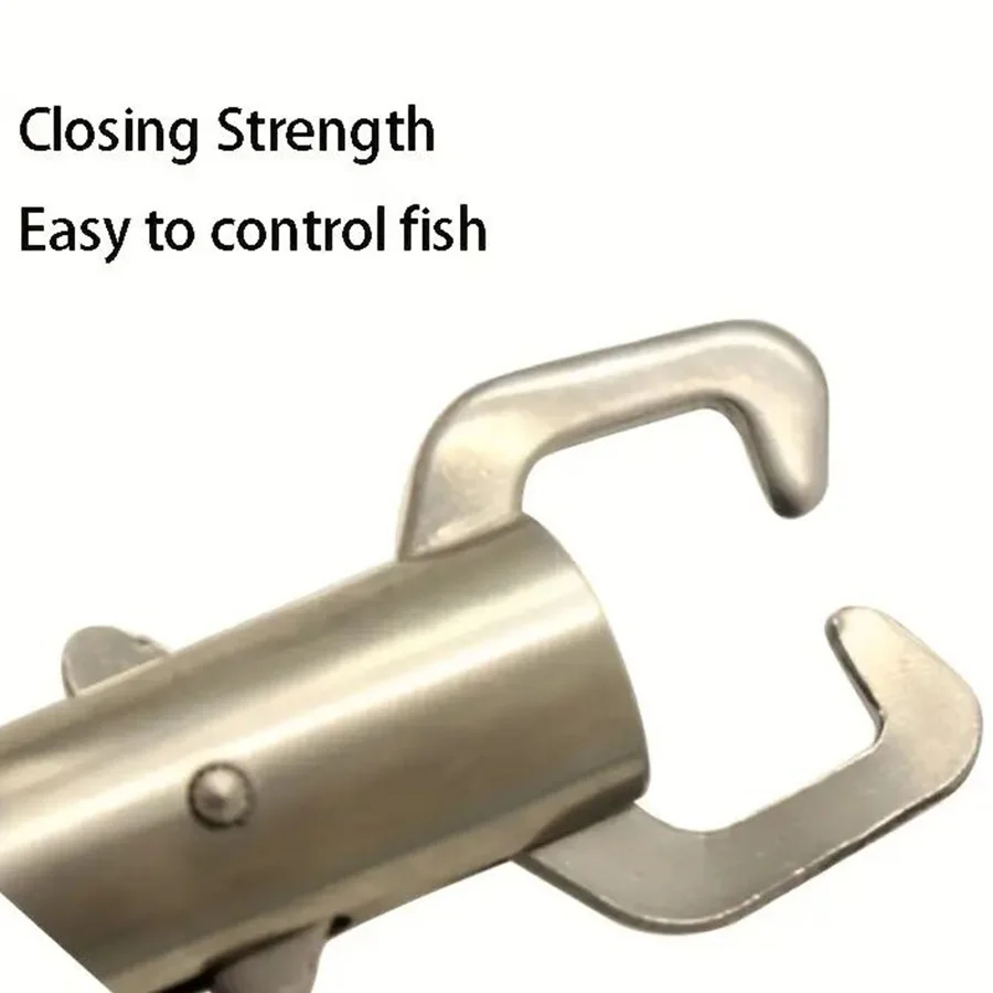 Set di controller per pesci da - Fishing Equipment Parts recensione e prezzo
